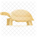 Turtle Animal Sea Icon