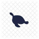 Turtle Reptile Sea Icon