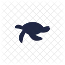 Turtle Vector Sea Icon