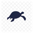 Turtle Vector Illustration Icon