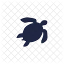 Turtle Vector Icon Icon
