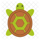 Turtle Sea Animal Icon