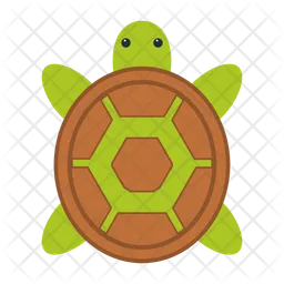 Turtle  Icon