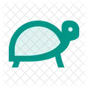 Turtle Tortoise Pet Icon