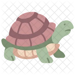 Turtle  Icon