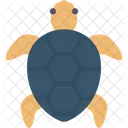 Turtle Animal River Icon
