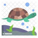 Turtle Sea Animal Animal Icon