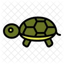 Tortoise Head Animal Icon