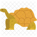 Turtle  アイコン