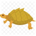 Turtle Animal Wildlife Icon