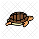 Turtle Pet Color Icon