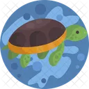 Nature Turtle Tortoise Icon