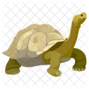 Turtle Tortoise Amphibians Icon