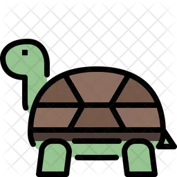 Turtle  Icon