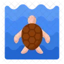 Turtle Aquatic Animal Animal Icon