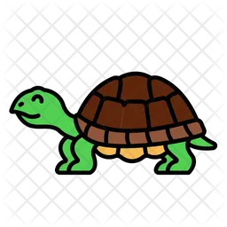 Turtle  Icon