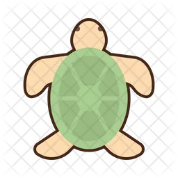 Turtle  Icon