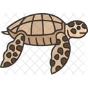 Turtle Sea Wildlife Icon