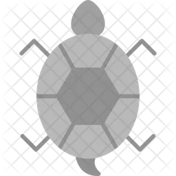 Turtle  Icon