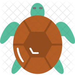 Turtle  Icon