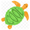 Tortoise Turtle Reptile Icon