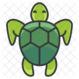 Turtle  Icon