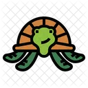 Turtle  Icon