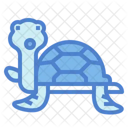 Turtle  Icon