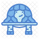 Turtle  Icon