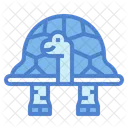 Turtle  Icon