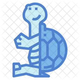 Turtle  Icon