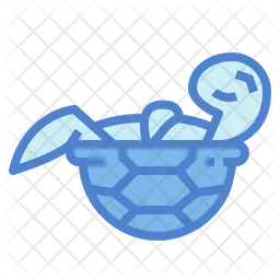 Turtle  Icon