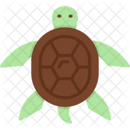 Turtle  Icon