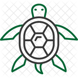 Turtle  Icon