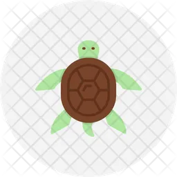 Turtle  Icon