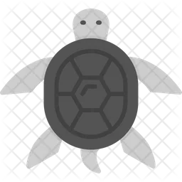 Turtle  Icon