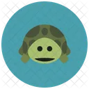 Turtle Animal Icon
