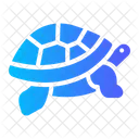 Turtle Animal Kingdom Icon