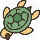 Turtle Sea Marine Icon