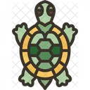 Turtle Pet Reptile Icon