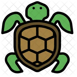 Turtle  Icon