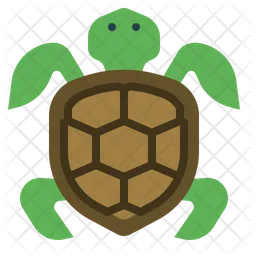 Turtle  Icon