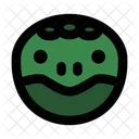 Turtle Head  Icon