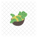 Turtle Character Animal Icon