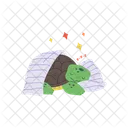 Turtle Character Animal Icon