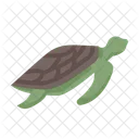 Turtle Icon