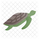 Turtle Animal Sea Icon