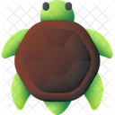 Turtle Animal Sea Icon