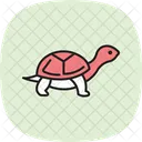 Turtle Ocean Marine Icon