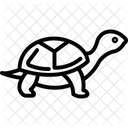 Turtle Ocean Marine Icon